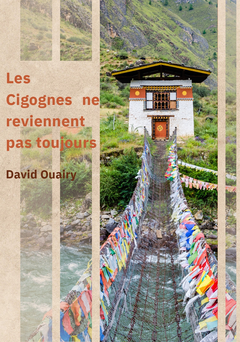 Portada ebook Cigognes ne reviennent pas toujours.pdf_page-0001
